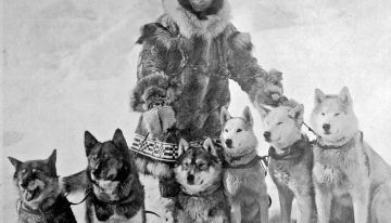 La emotiva historia de Balto, el Husky Siberiano que se convirtió en héroe y tiene una estatua en Central Park