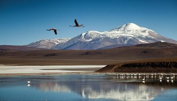 Los refugios de Sarmiento: Salvaron a los arrieros de una muerte segura en el cruce cordillerano