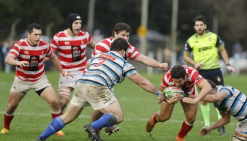 Agenda de TV del sábado: Springboks vs. Pumas en el Championship, Boca, San Lorenzo, Messi, ligas europeas, Top 12 y polo