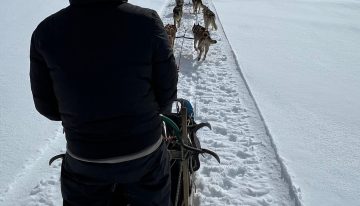 El “musher” argentino que organiza expediciones en trineo en un aislado lugar de la cordillera neuquina