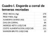 Según un experto: cuál es el mejor negocio con las vaquillonas para carne