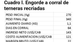 Según un experto: cuál es el mejor negocio con las vaquillonas para carne