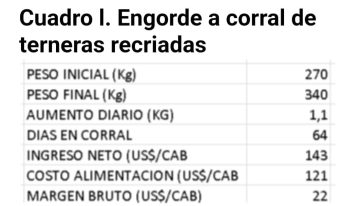 Según un experto: cuál es el mejor negocio con las vaquillonas para carne