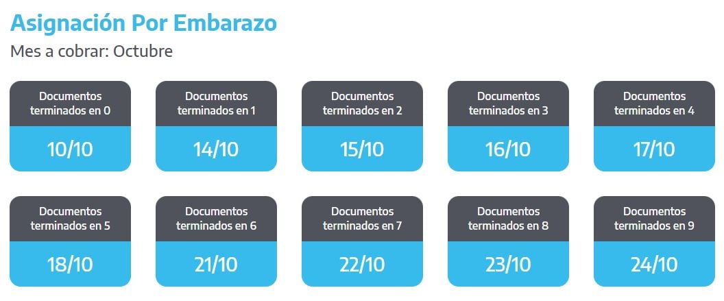 Cuándo cobro la asignación por Embarazo en octubre 2024 (Foto: ANSES)