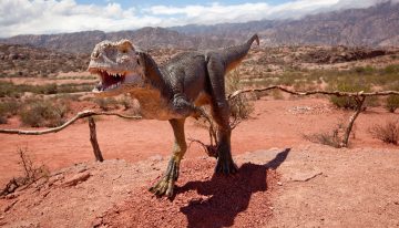 La reserva con grandes murallones y tierra colorada, que transporta a Marte