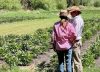 Cambiar a los 45: sufrió tres fuertes accidentes en la ruta, dio un giro en su vida y ahora produce una flor que es furor en el mundo