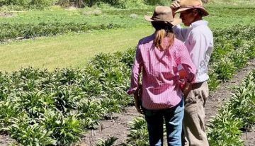 Cambiar a los 45: sufrió tres fuertes accidentes en la ruta, dio un giro en su vida y ahora produce una flor que es furor en el mundo