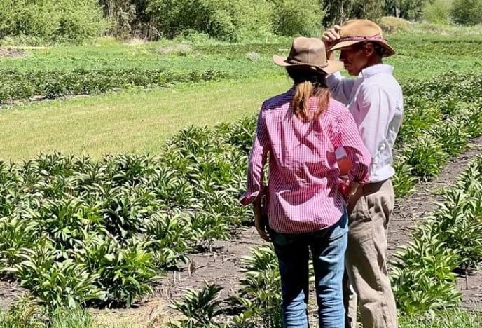 Cambiar a los 45: sufrió tres fuertes accidentes en la ruta, dio un giro en su vida y ahora produce una flor que es furor en el mundo