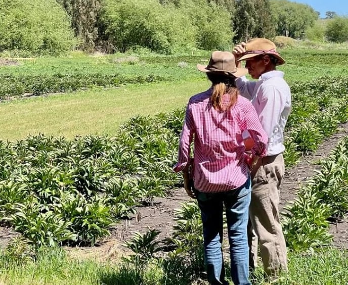 El matrimonio Bonadeo de manera personal lleva adelanta su emprendimiento