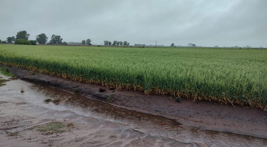 “Estábamos desesperados”: llovió y se dio vuelta “el partido” del año en la principal región agrícola del país