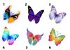 Test de personalidad: elegí una de las seis mariposas y conocé detalles inéditos de tu forma de relacionarte