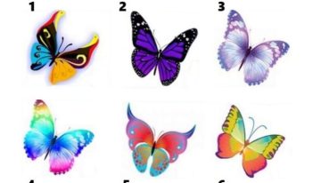 Test de personalidad: elegí una de las seis mariposas y conocé detalles inéditos de tu forma de relacionarte