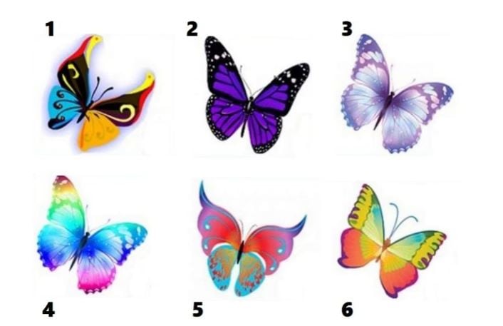 Test de personalidad: elegí una de las seis mariposas y conocé detalles inéditos de tu forma de relacionarte