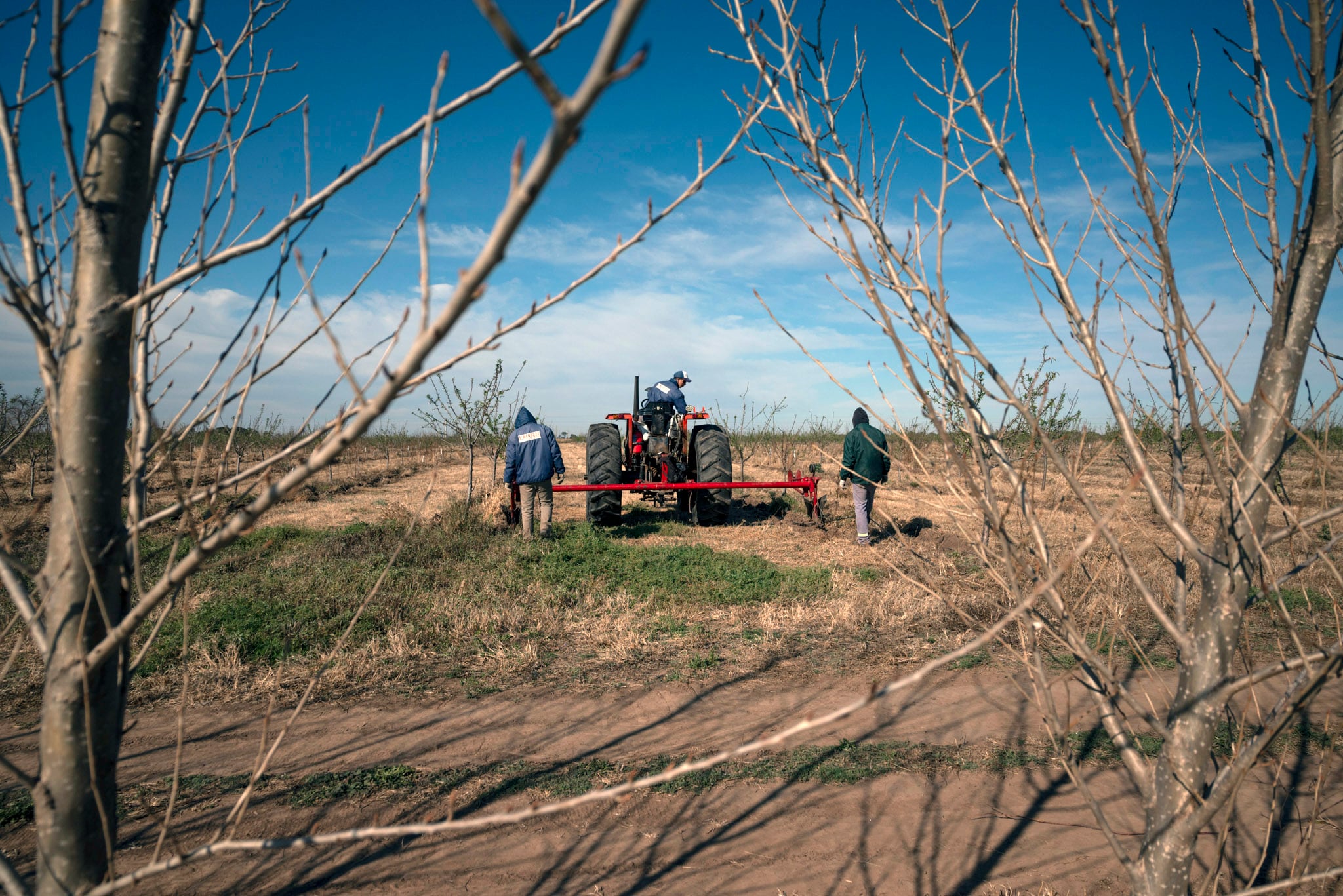 El trabajo en el campo ocupa a la gente de la zona.