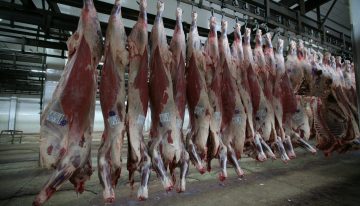 Crecimiento: anticipan que la exportación de carne vacuna dejará al país unos US$3000 millones