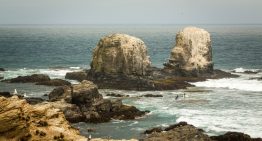 Playas chilenas: Pueblitos con encanto, ceviche y el mejor surf al borde del Pacífico salvaje