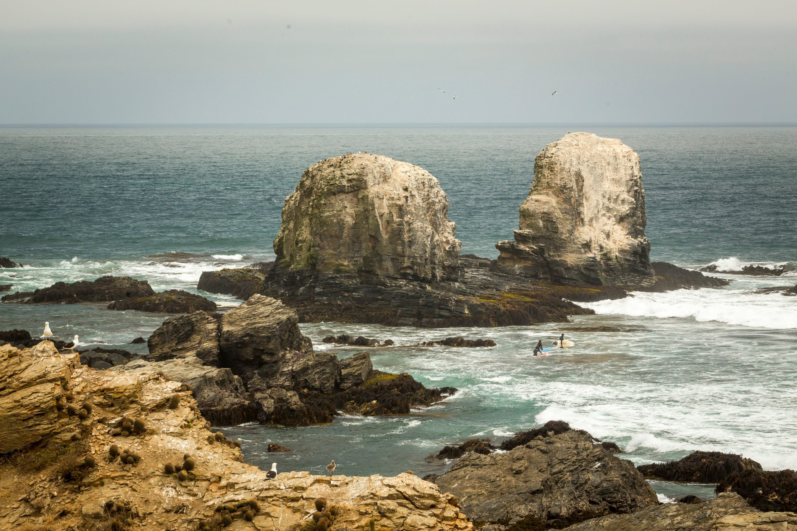 Los Morros, promontoros de piedra laja que emergen en Punta de Lobos.