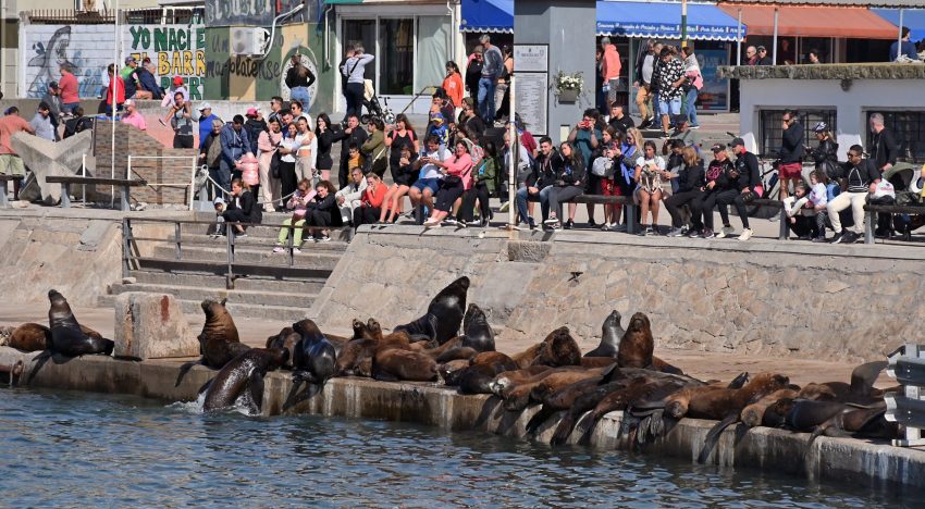 Fin de semana largo: la ocupación ronda el 70% y el sector turístico centra sus expectativas en el verano