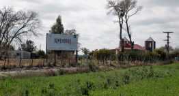 Dos hermanos se animaron a plantar almendros en un campo ganadero del norte cordobés