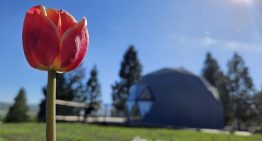 El nuevo glamping con vista a la cordillera que fue creado para un cambio de vida