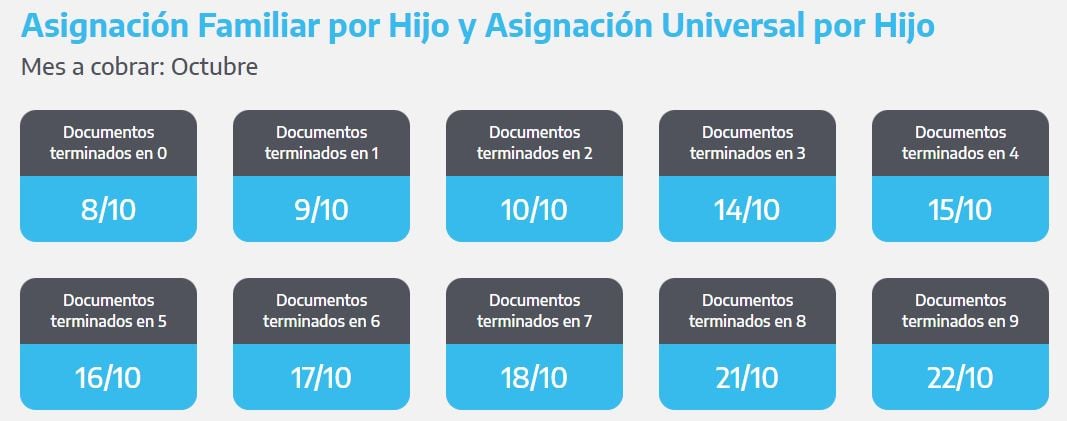 Cuándo cobro la AUH y SUAF en octubre 2024 (Foto: ANSES)