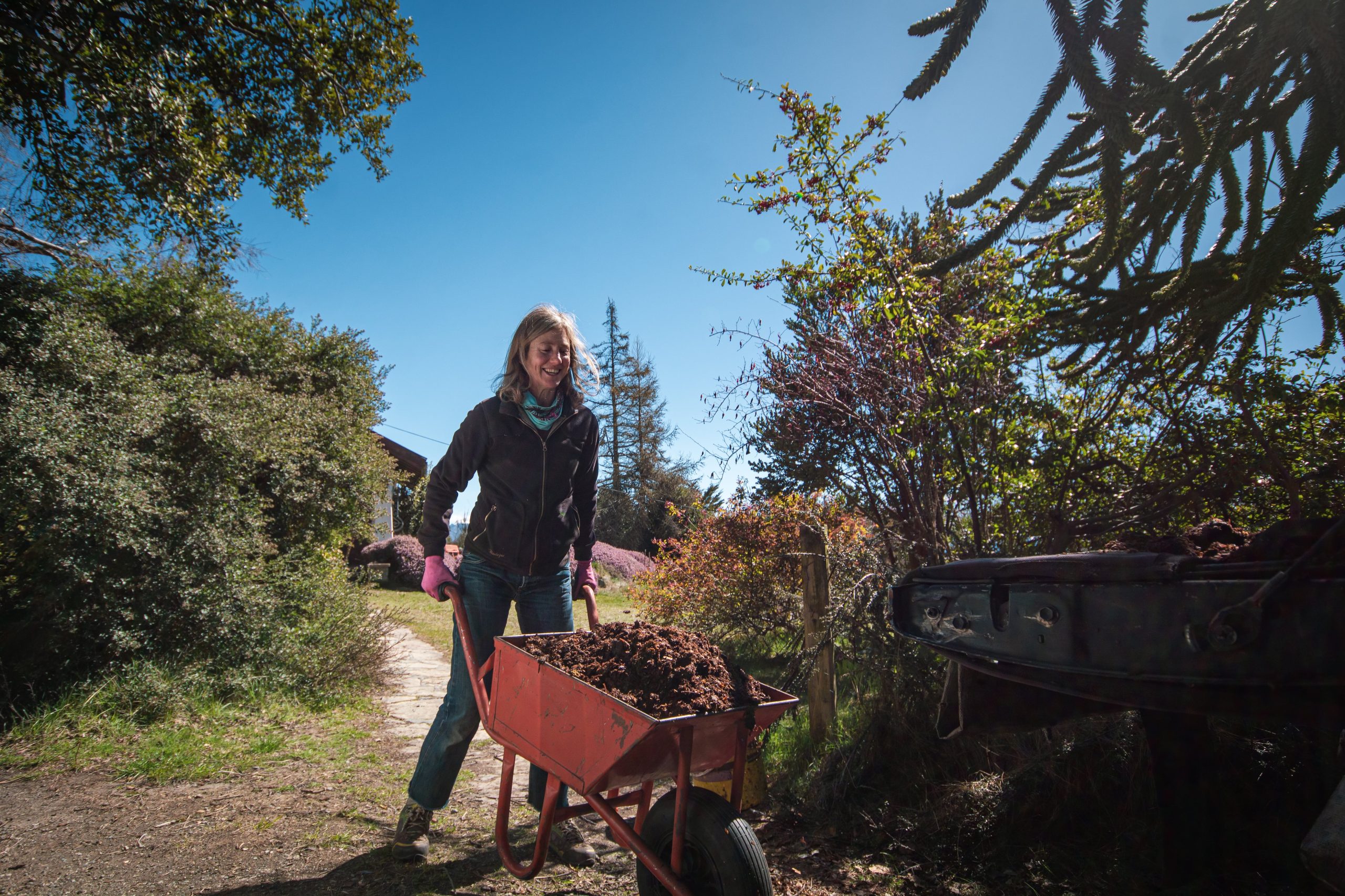 Una jardinera paisajista (María Gangler) se focalizó en la recuperación del jardín, donde se lucen rododendros y peonías.