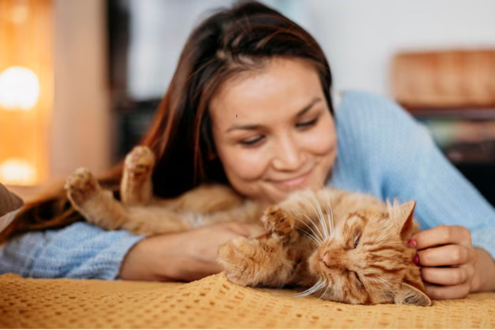 Que un gato lama a su dueño es una señal de afecto