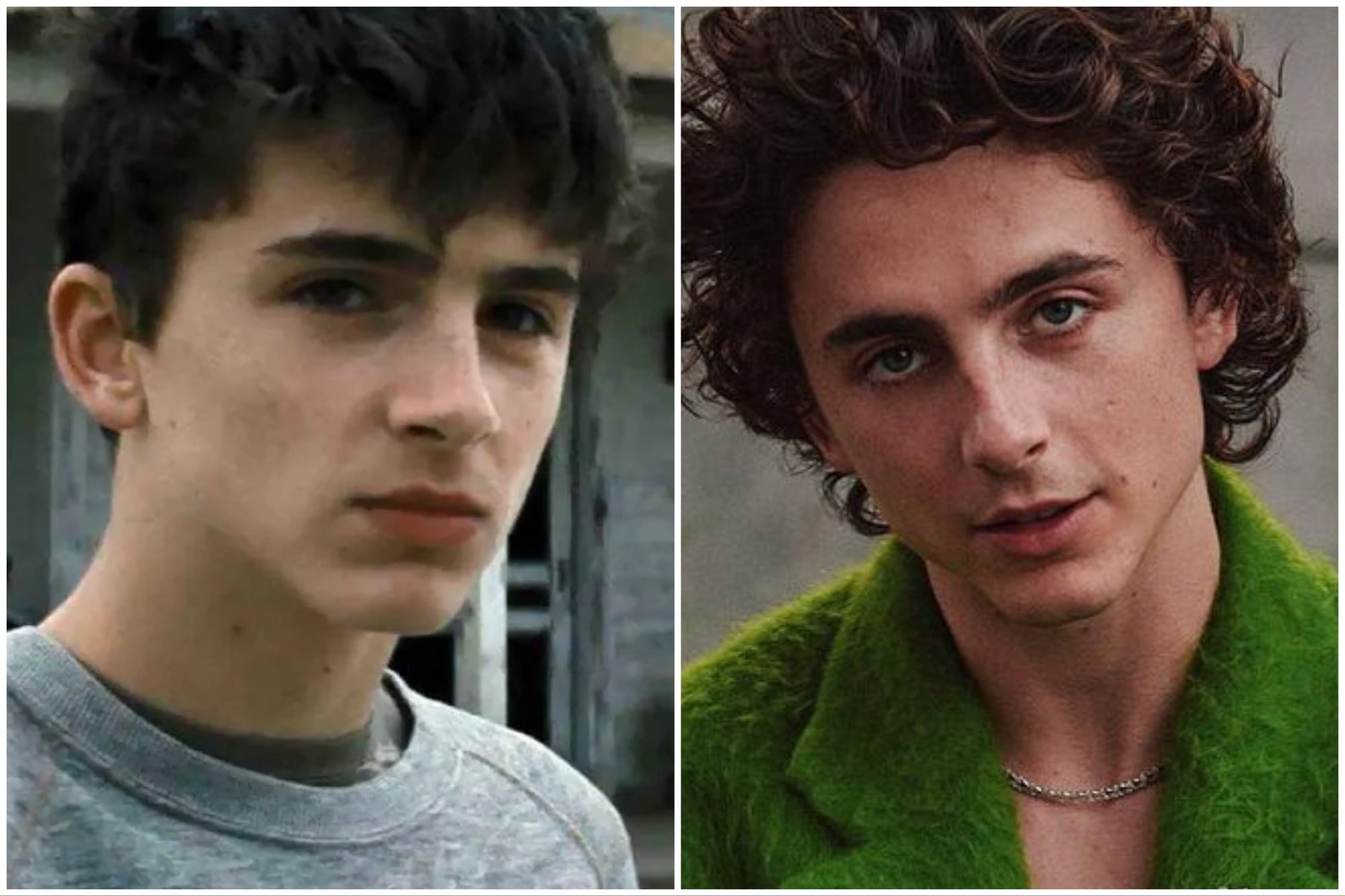 El antes y el después de Timothée Chalamet