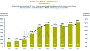 Se consolidan las exportaciones de carne vacuna, con récórd en lo que va del año