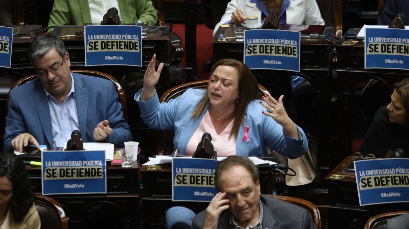 Diputados de Unión por la Patria buscan evitar que la interna del PJ genere un quiebre en el bloque. (Foto: NA/Daniel Vides)