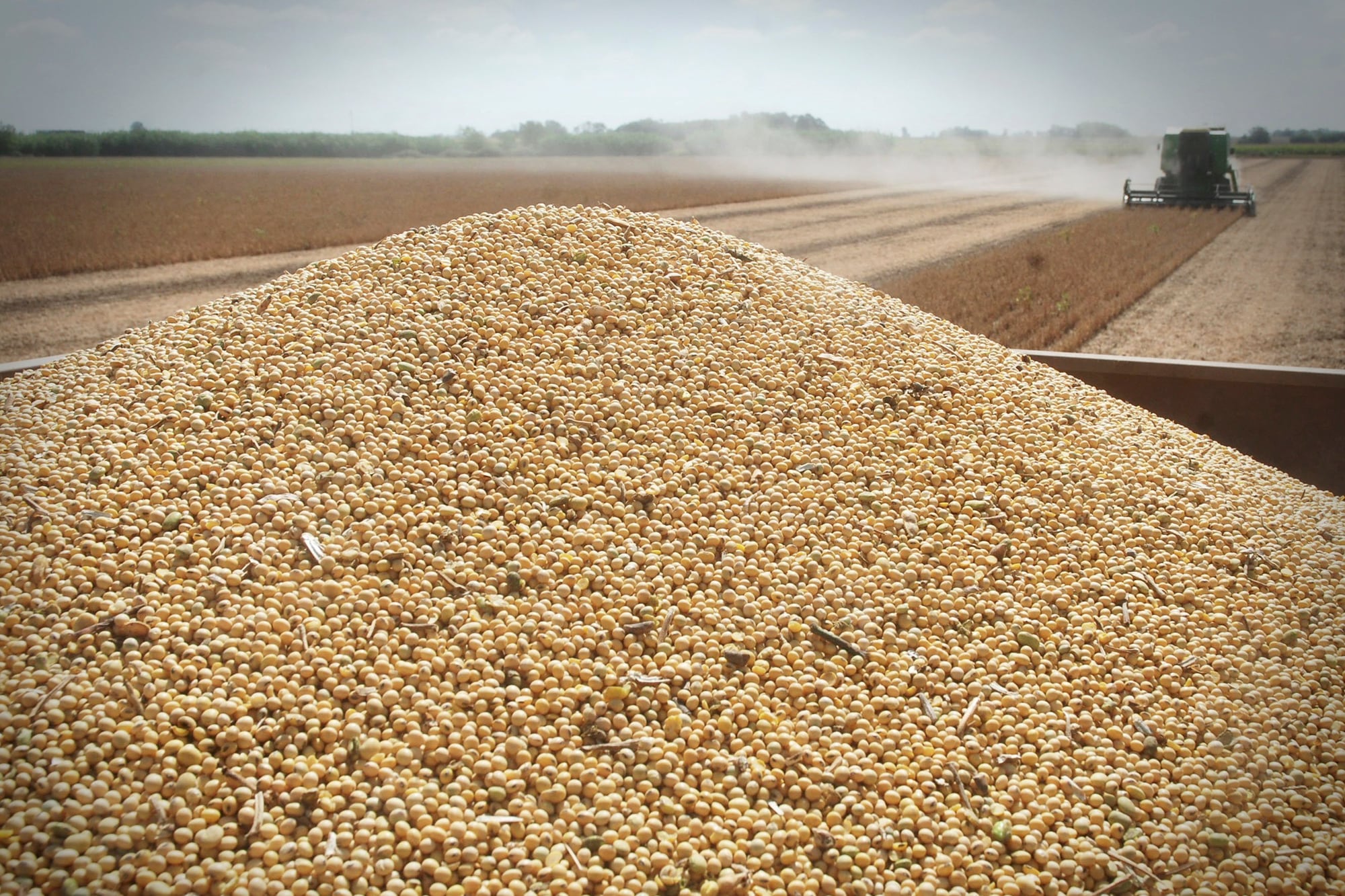 Según explicaron en la cartera agrícola, actualmente, por ejemplo, “un operador que acopia granos (soja, maíz, trigo, etc.) debe inscribirse como acopiador consignatario pero, si además comercializa maní o legumbres debe realizar dos inscripciones más por especie (acopiador de maní y acopiador de legumbres): a partir de ahora, solo deberá tener una única inscripción para comercializar cualquier especie”