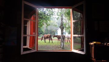 La familia de inmigrantes indómitos detrás de una estancia en plena selva que hoy recibe huéspedes