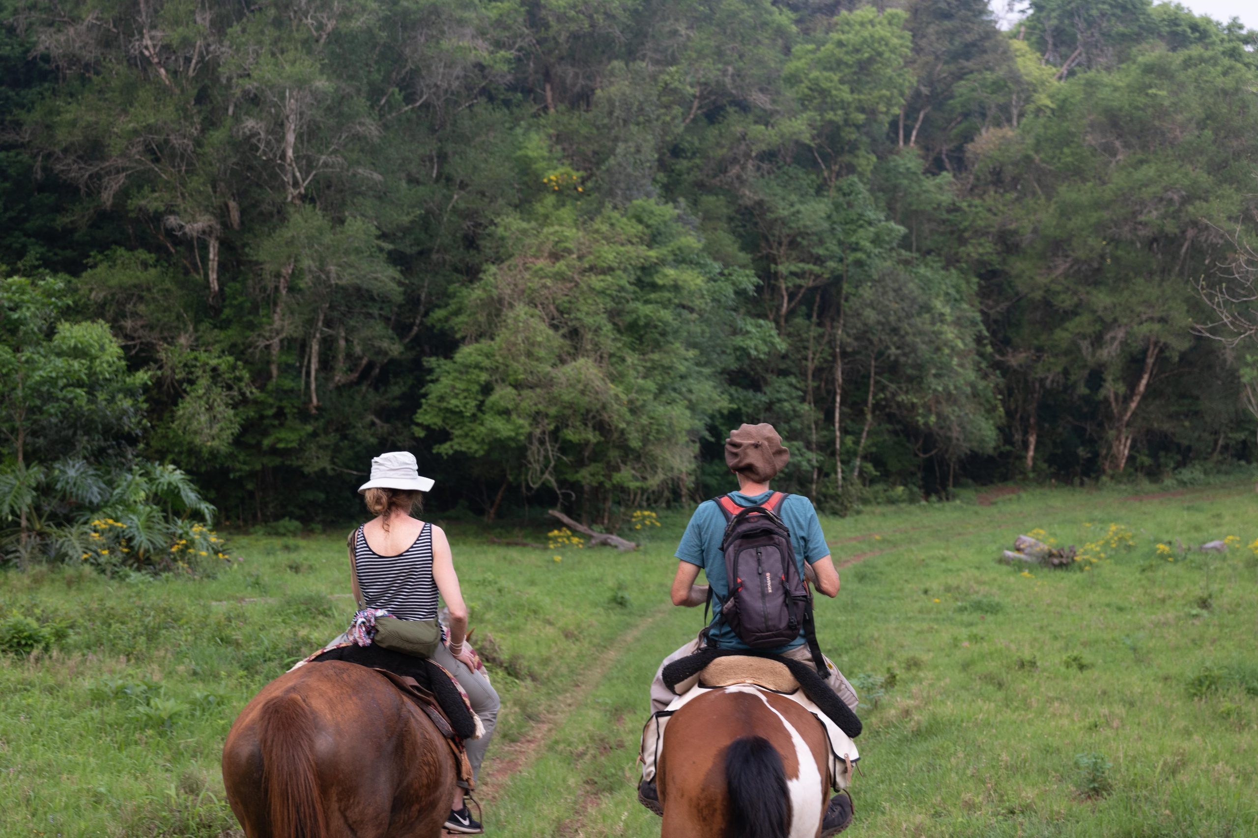 Cabalgatas por los senderos de la propiedad, otro de los puntos altos de la propuesta.