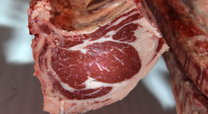 La faena de bovinos subió fuerte en octubre y crece el porcentaje del sector exportador en el mercado de carne