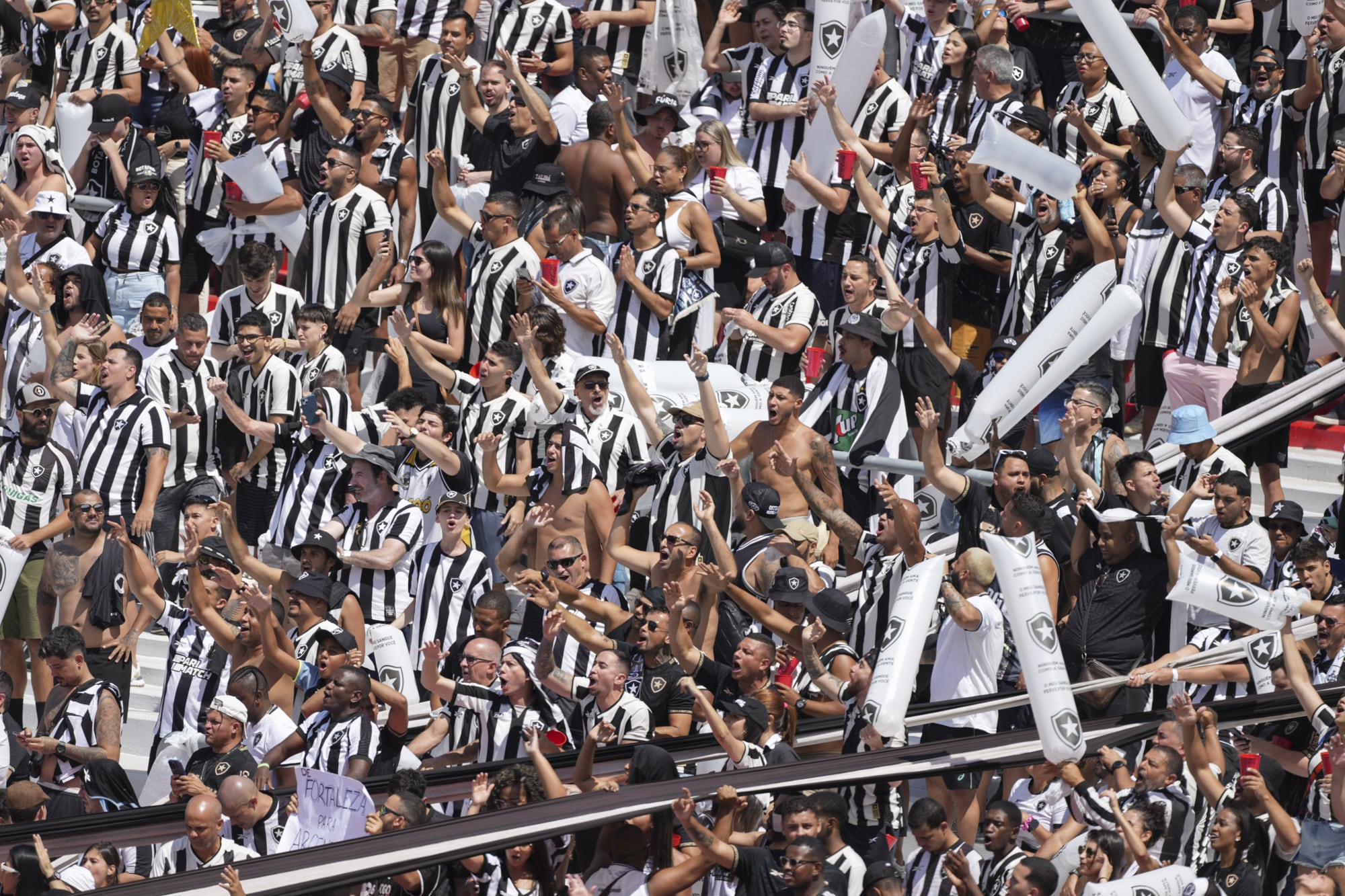 Los hinchas de Botafogo en el estadio Monumental