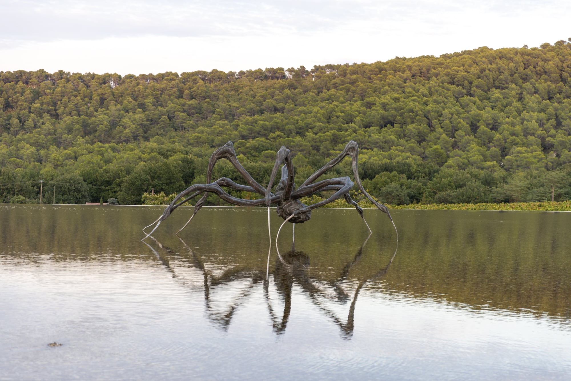 Crouching Spider de Louise Bourgeois es una de las obras que se exponen en Château La Coste.