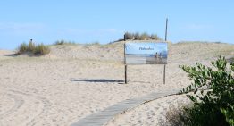 Chihuahua sigue vigente con más de 60 años: cómo es la playa nudista de Punta del Este que no pasa de moda