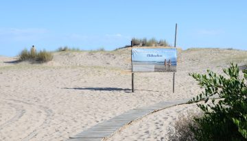 Chihuahua sigue vigente con más de 60 años: cómo es la playa nudista de Punta del Este que no pasa de moda