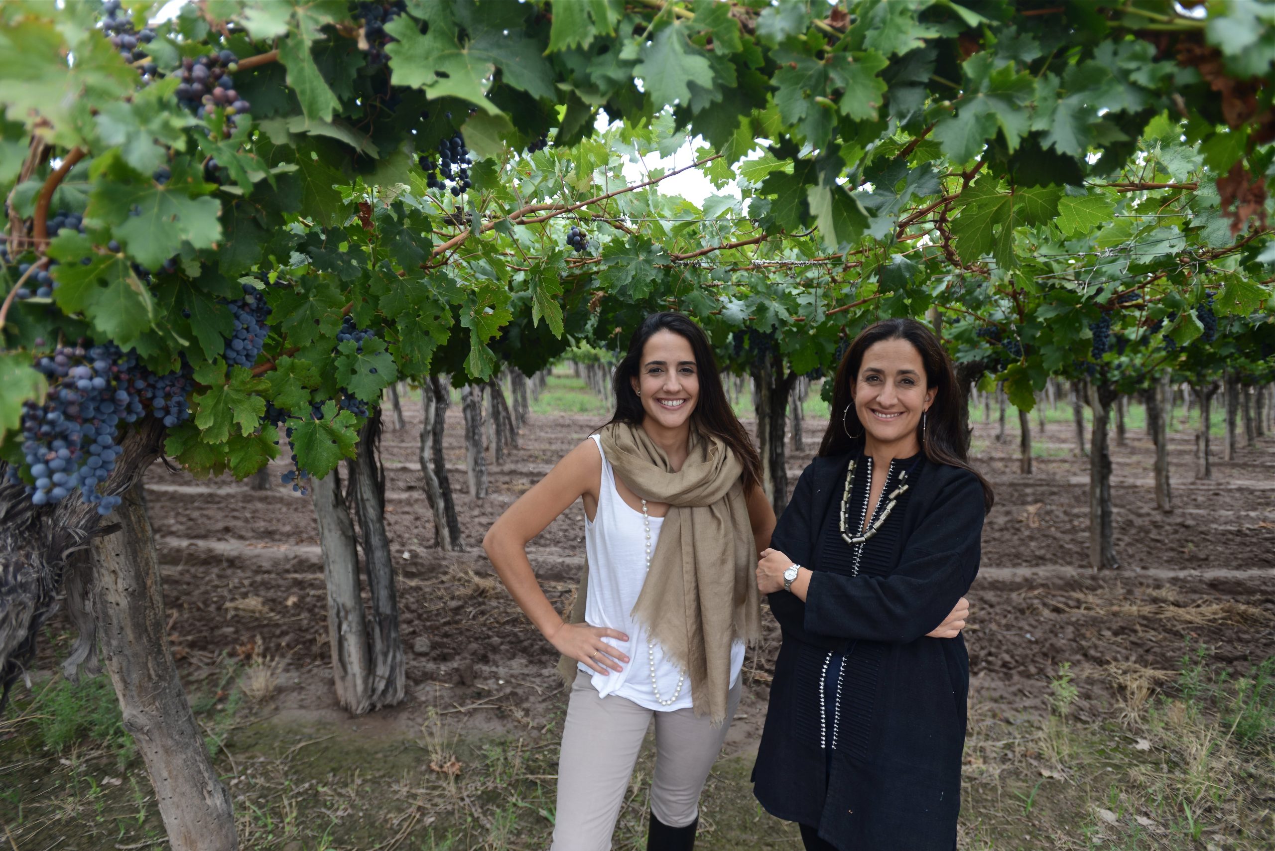 La variedad favorita de Lucila es el Cabernet Franc Malbec. A Sofía le gustan los blancos, los blends con Chardonnay, Sauvignon blanc y semillón. 