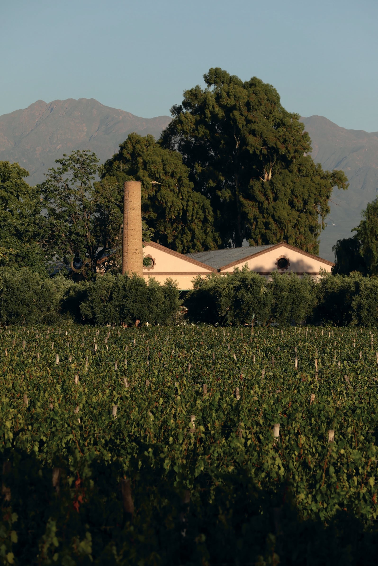 Emplazada en la bodega original de 1897, en Mayor Drummond, Lagarde conserva su arquitectura de antaño.