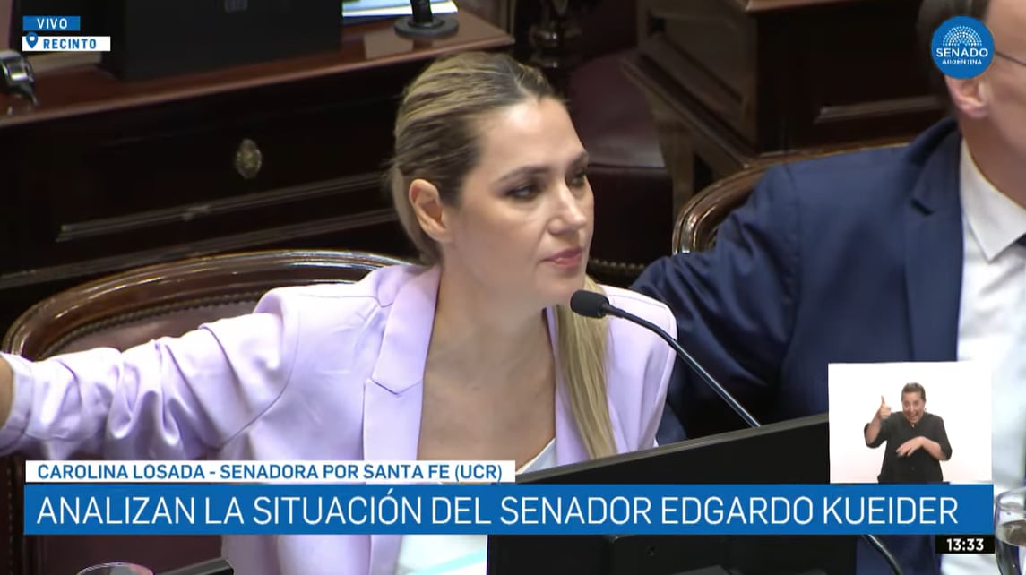 Losada durante su exposición en el Senado.