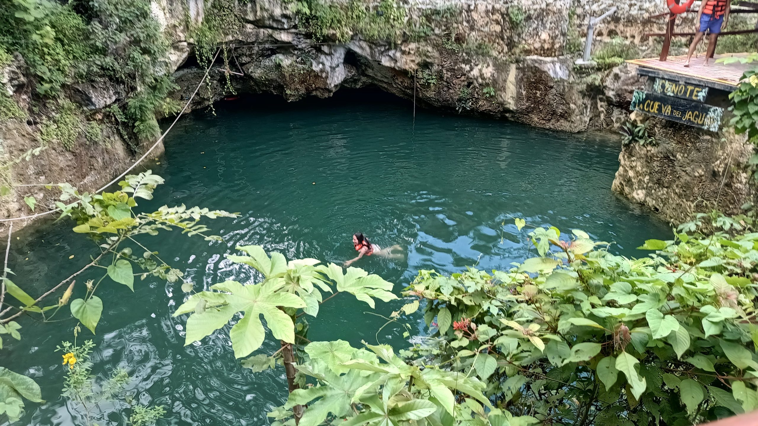 Visita a un cenote, pozos de agua dulce, fresca y transparente