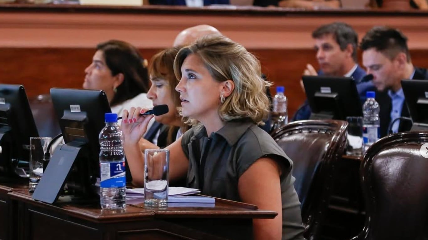 Stefanía Cora ocupará la banca que dejó Edgardo Kueider tras ser expulsado del Senado. (Foto: Instagram/@StefaníaCoraok).