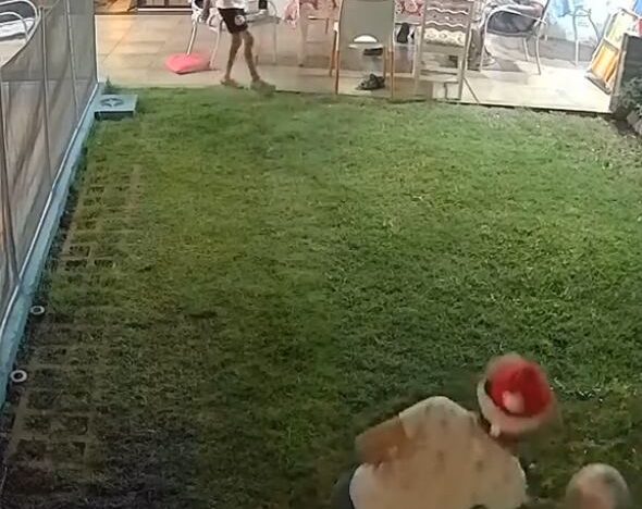 Un nene intentó hacer un lujo con la pelota durante la cena de Navidad y terminó de la peor manera