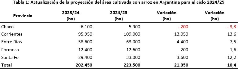 La siembra de arroz termina con un crecimiento de área del 10,4%