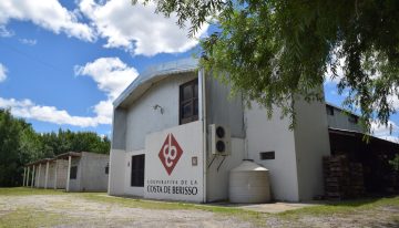 Viñedos y bodegas a 50 minutos del Obelisco: cómo es el recorrido por una plantación centenaria que ofrece vinos icónicos