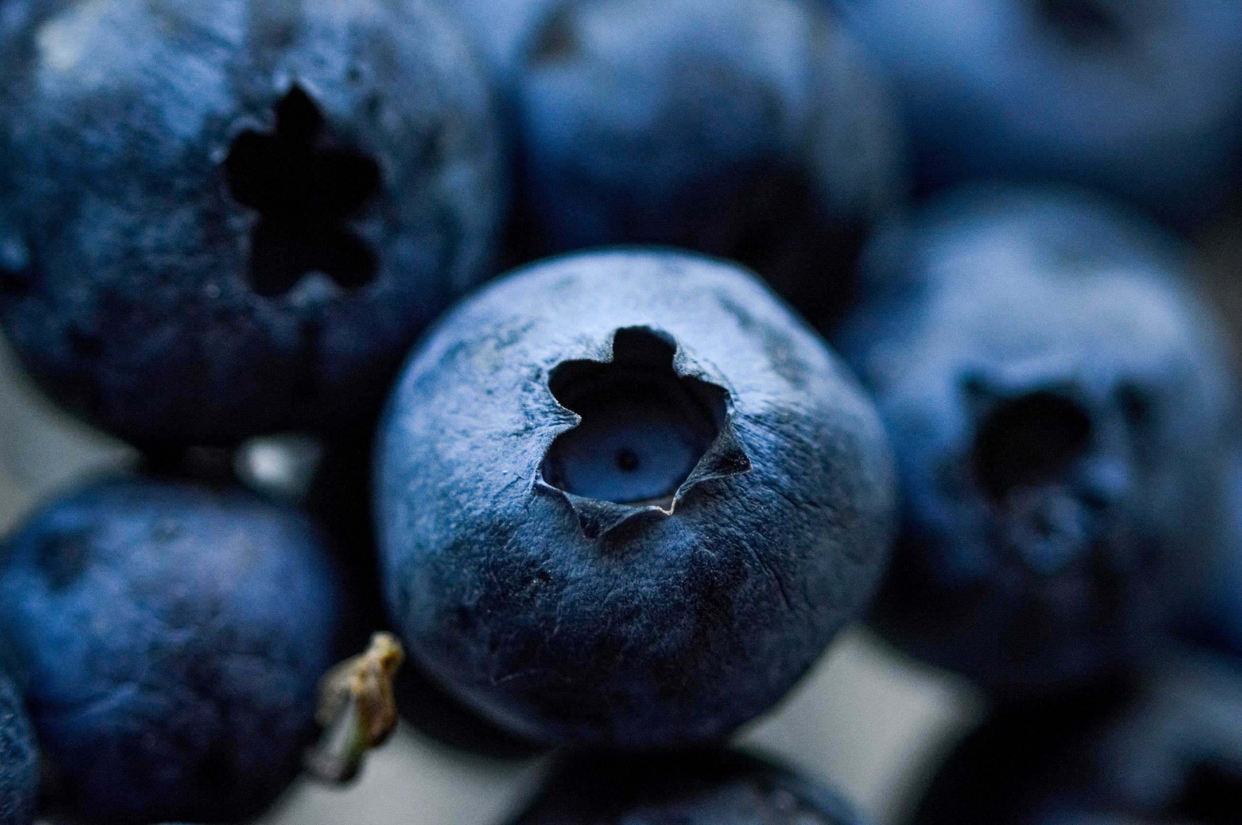 Los arándanos y frutillas son ricos en antioxidantes como los flavonoides, esenciales para combatir los radicales libres