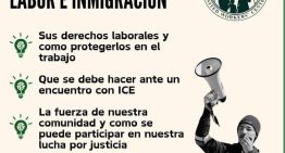 Deportación masiva en Illinois: las medidas que toman los inmigrantes ante las posibles redadas