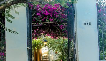 Lejos de Palermo: la zona de calles arboladas y ritmo tranquilo que atrae cada vez más gente con su polo gourmet