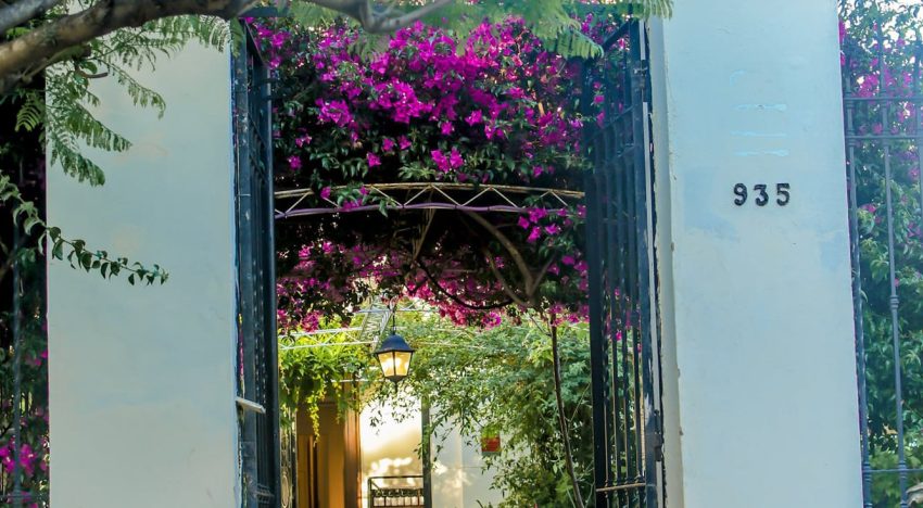 Lejos de Palermo: la zona de calles arboladas y ritmo tranquilo que atrae cada vez más gente con su polo gourmet